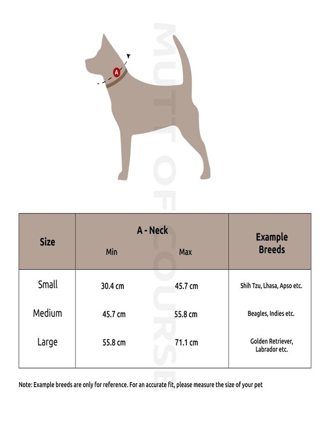 Mutt of Course مجموعة أطواق الكلاب "مات أوف كورس غارفيلد" | طوق كلب متوسط الحجم - Image 3